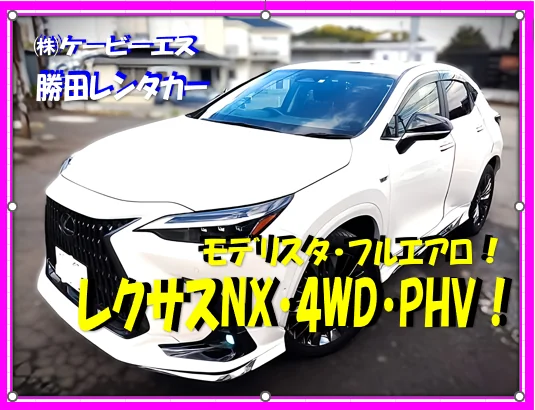 勝田レンタカーの事故代車例 レクサスNX 4WD PHV(モデリスタ・フルエアロ)